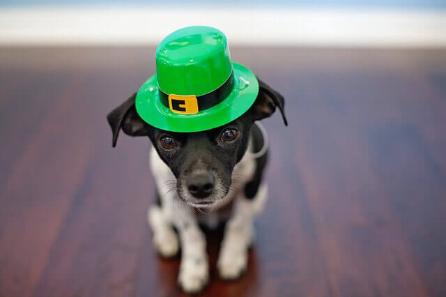 St Patricks Day Hats