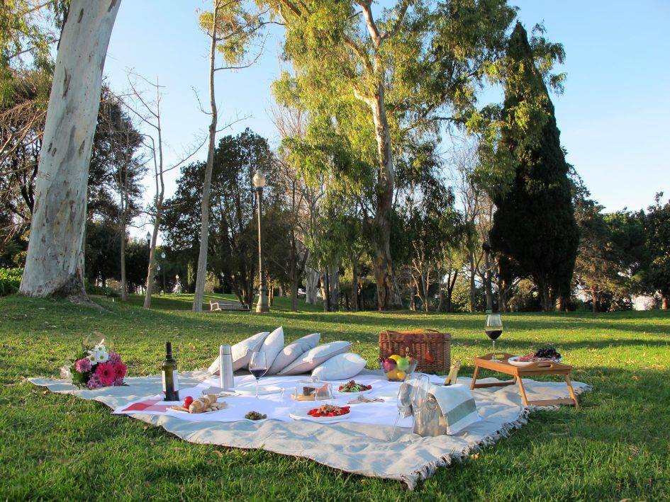 national picnic day