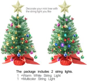 Liecho 24 Inch Tabletop Christmas Tree, Artificial Mini Xmas Pine Tree with LED String Lights